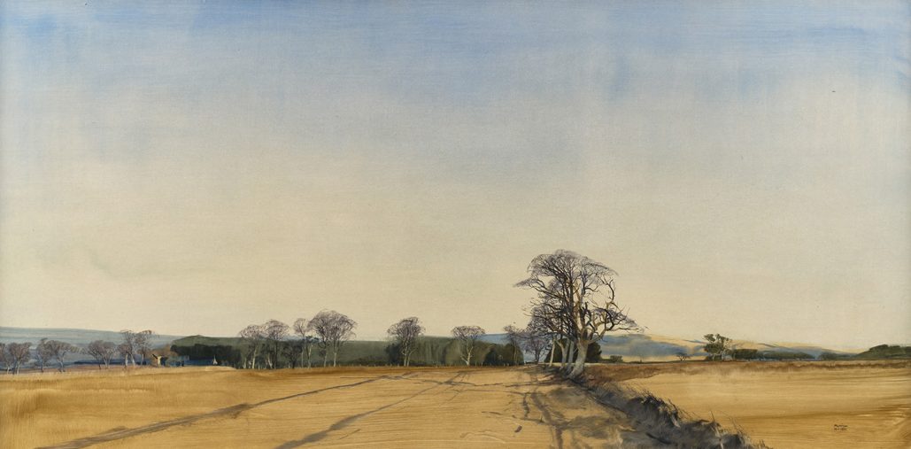Above Stracathro, 16.i.1990