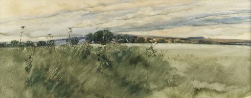 Trees at Balgove, 9.viii.1986