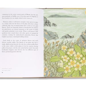 Angie Lewin | The Book of Wild Flowers