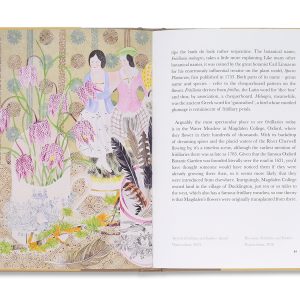 Angie Lewin | The Book of Wild Flowers