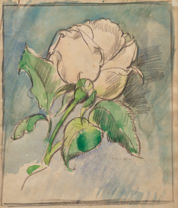 White Rose