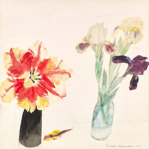 Parrot Tulip and Irises
