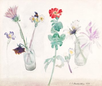 Summer Flowers