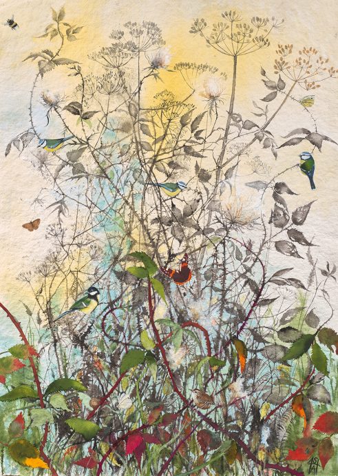 botanical ink, watercolour and collage artwork