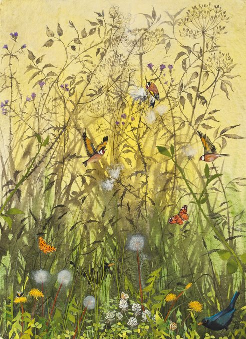 botanical ink, watercolour and collage by Sheila Anderson-Hardy