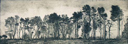 etching of winter trees by Kirstie Behrens