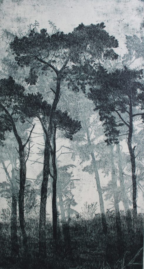 etching of leafless trees in a portrait format by Kirstie Behrens