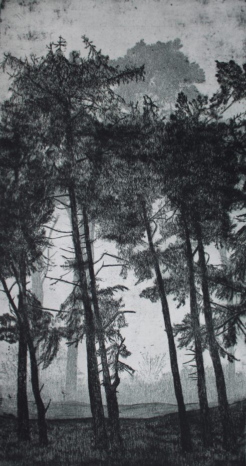 etching of trees in portrait format by Kirstie Behrens