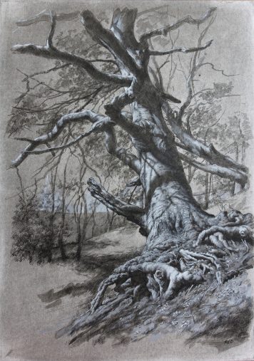 ink, charcoal and acrylic on board tree study by Paul Reid