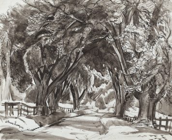pen and ink drawing of trees by Adam Bruce Thomson