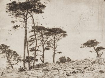 etching of a hillside rookery by Adam Bruce Thomson