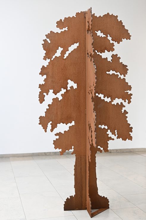 Beech Tree