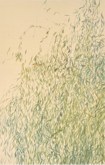 High in Willow, A Chiffchaff Sings