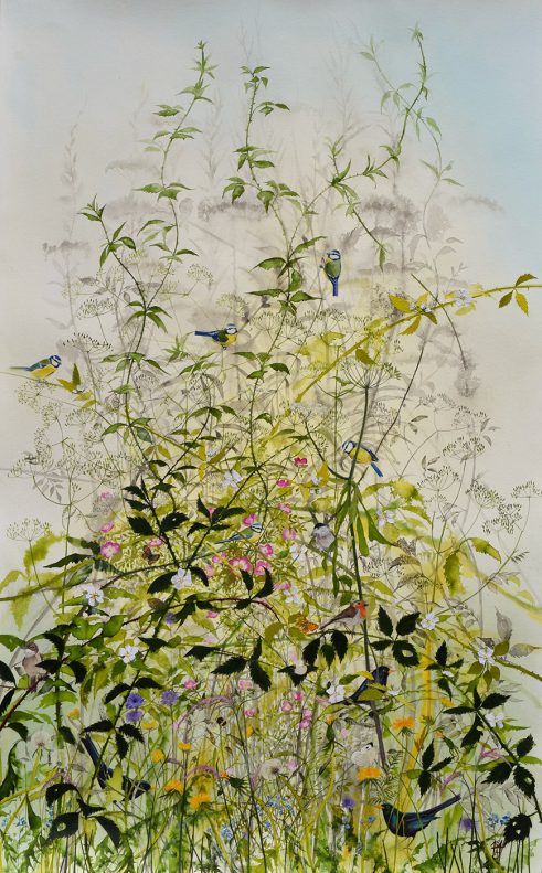 Sumi-e ink washes and watercolour on paper of bramble and briar by Sheila Anderson Hardy