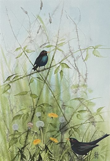Blackbird Duet