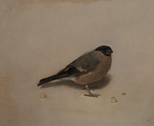 Pearls Before Finches, Bullfinch, f no1