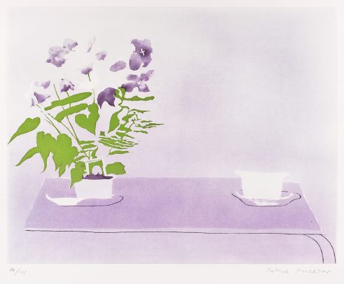 Campanula