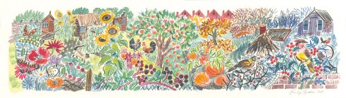 Allotments from Summer to Autumn