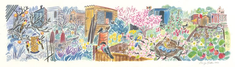 Allotments from Winter to Spring