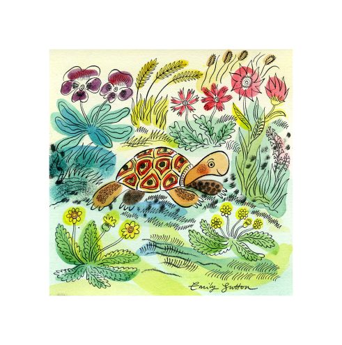 Tortoise in the Garden