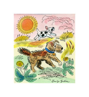 The Terriers