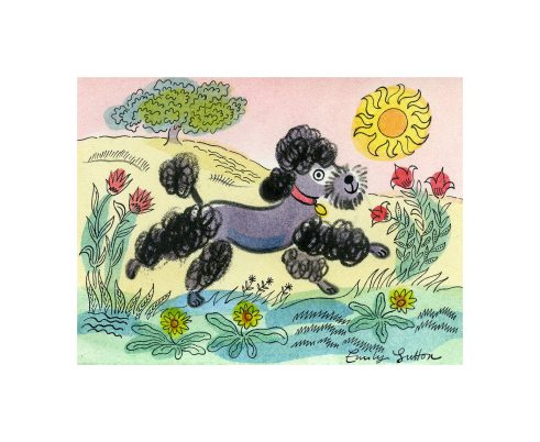 Black Poodle