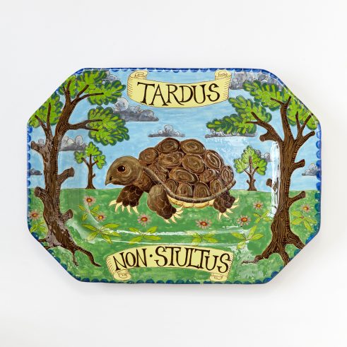 Tardus Non Stultus