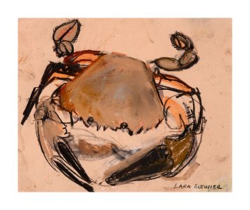 Small Crab