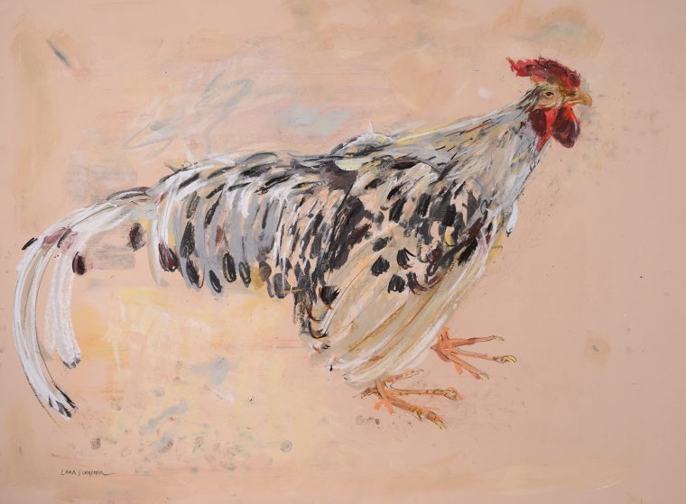 Cockerel