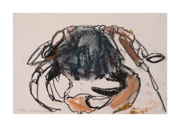 Blue Crab