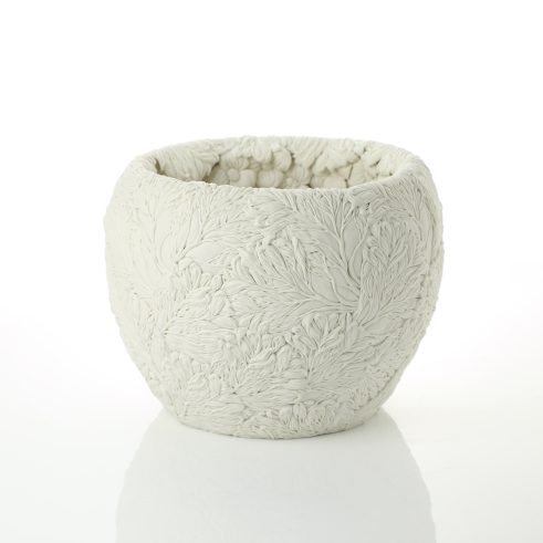 A Dancing Daisy and Mangrove Bowl