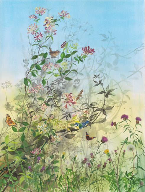 Summer Scent and Song