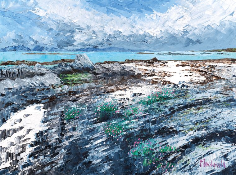 Jura on the Horizon – Sea Pinks and Seawrack, Oronsay