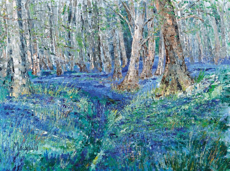 Pathway through the Bluebells, Poltalloch