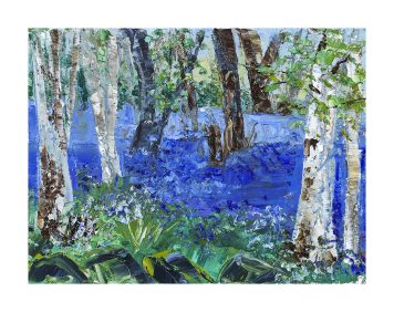 Silver Birch and Bluebells, Duntrune