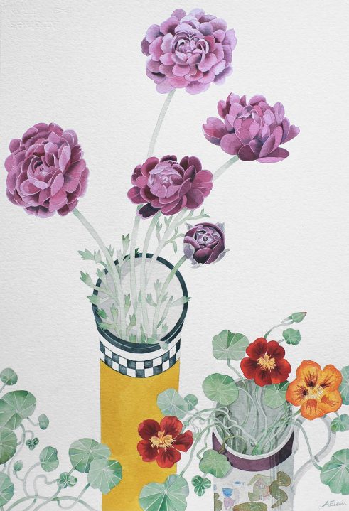 Ranunculus and Nasturtium