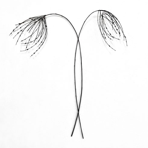 Early Spring