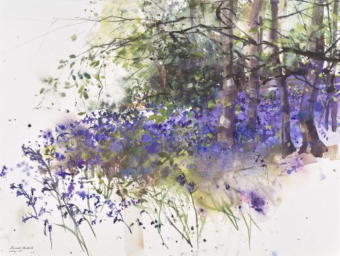 Bluebell Woodland