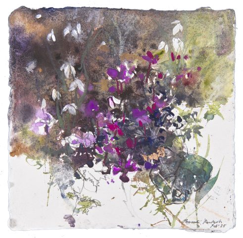 Forest Cyclamen and Snowdrops