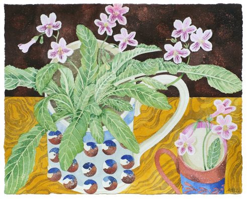 Streptocarpus in Mochaware Mug