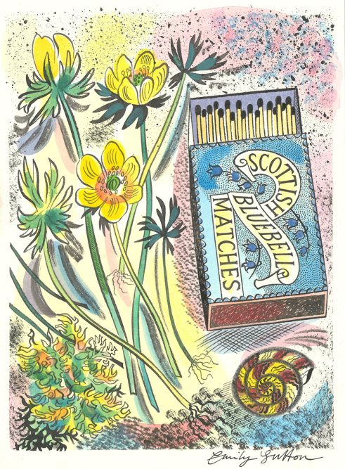 Scottish Bluebell Matches