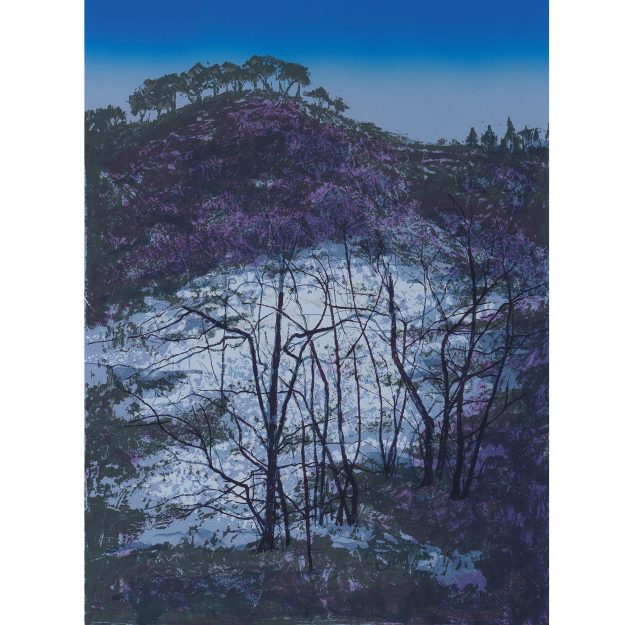 Victoria Crowe Shifting Surfaces