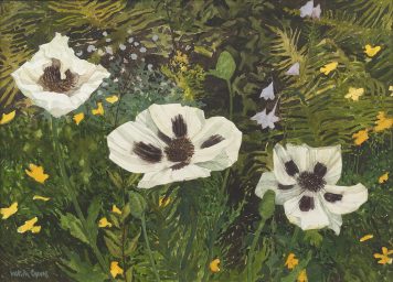 Three White Poppies