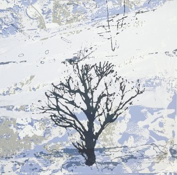 Snow Field