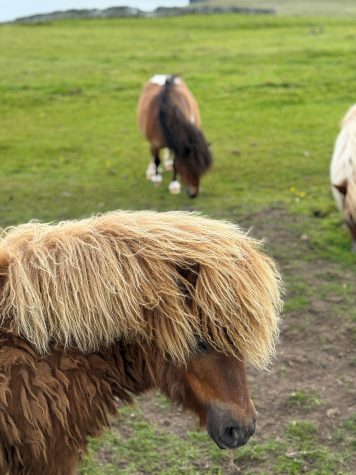 Ruth Brownlee | 60° North III