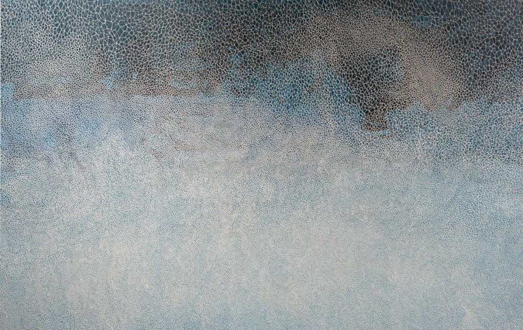 This Salted Light