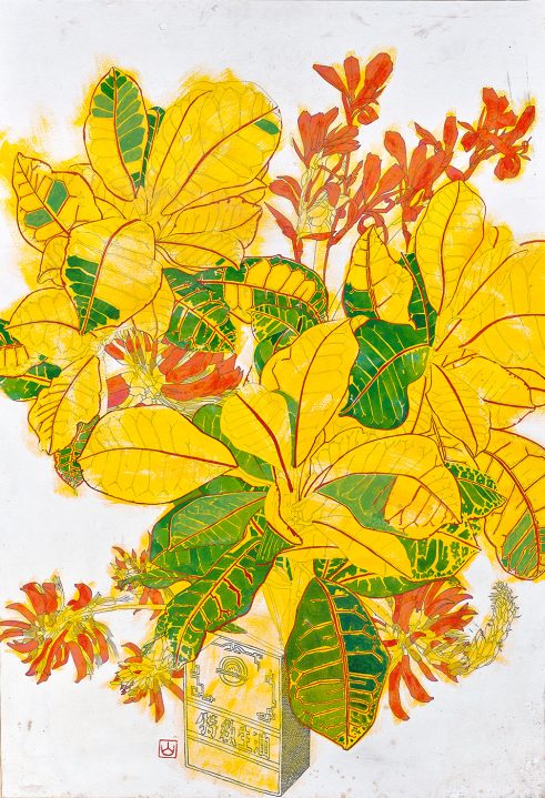 Coral Tree Flower, Croton, and Indian Shot, Lamma Island