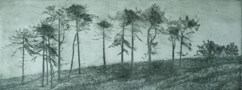 Windswept Trees, Green