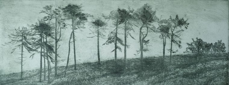 Windswept Trees, Green