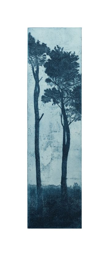 St. Michaels Pines I